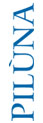 piluna logo